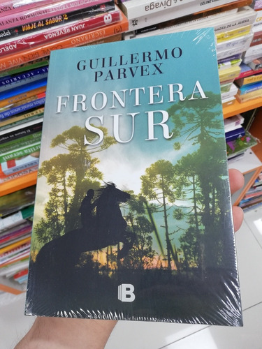 Libro Frontera Sur - Guillermo Parvex 