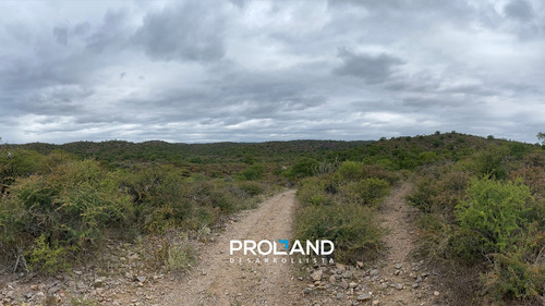 Lotes Con Escritura En Venta 30 Hectáreas. - Campo Nativo - Cruz Del Eje - Córdoba - Terrenos Con Financiación