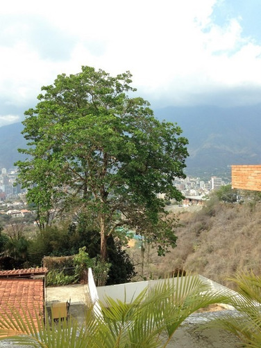 Imagen 2 de 14 de Alquilo Apartamento 100m2 2h/1.5b/1pe Colinas De Bello Monte
