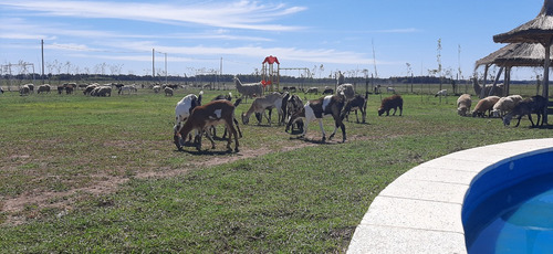 Lote En Arroyos De San Vicente Con Mejoras
