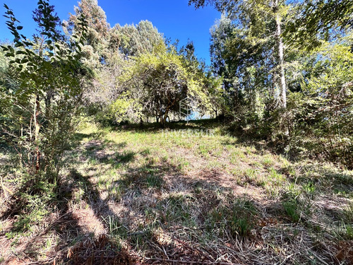 Hermoso Terreno En Arique Ruta Valdivia Los Lagos