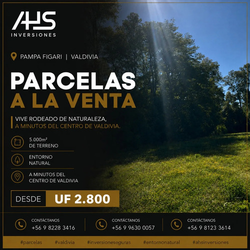 Pampa Figari Valdivia Parcelas 5.000 M² Desde Uf 2.850
