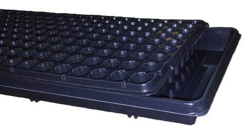 Imagen 2 de 4 de Bandeja Germinacion + Forrajera X 5 Unidades Huerta Jardin