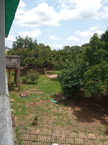 Imagen 7 de 25 de Finca Tinaquillo Terreno Multipropósito En Tinaquillo- Aguirre. Estado Cojedes. T26