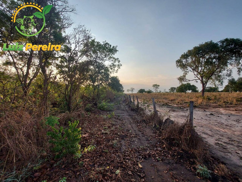 Imagem 5 de 12 de Fazenda À Venda Em Abreulândia - 696,96 Hectares (dupla Aptidão) - 2023