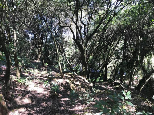 Imagen 1 de 6 de Terreno En Venta, Cuajimalpa De Morelos, Ciudad De México