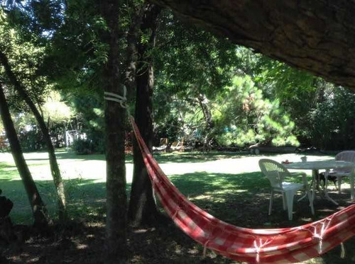 Imagen 8 de 14 de Alquilo Quinta 3000 Mts2,c/caseros, Asfalto,2 Cuadras Acceso, Canchas Fútbol, Volley, Fútbol Tenis, Wifi, Direct Tv. Pileta 10x 6, Solárium.