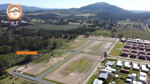 Imagen 1 de 6 de Terreno En Piriápolis (piriapolis) Ref. 5559