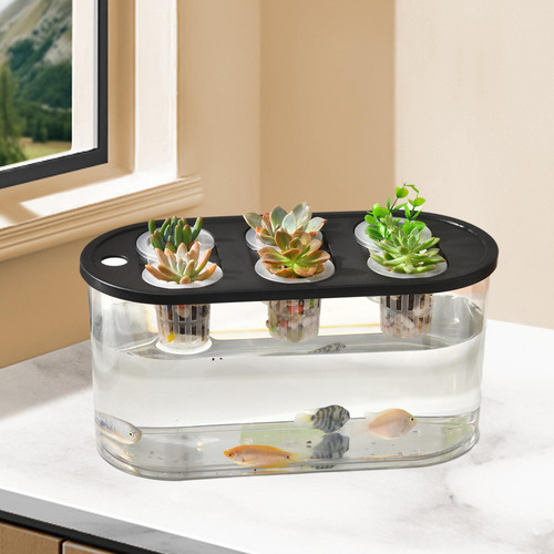 Jarrón Hydroponics Grower Box Para Arreglos Florales, Color