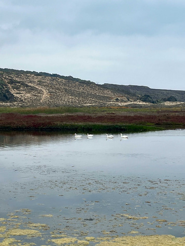 Sitio En Costa Huaquén, Oportunidad (69025)
