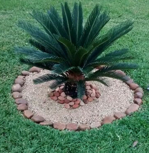 Imagen 7 de 8 de Piedra Decorativa De Rio Varios Colores Y Tamaños 10 Kilos