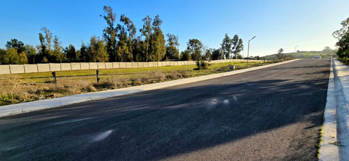 Las Gaviotas Quintero, A 4k De Rotonda Concón, Urbanizado