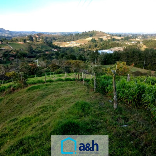 Lote En Venta En Rionegro, Sector La Mosquita