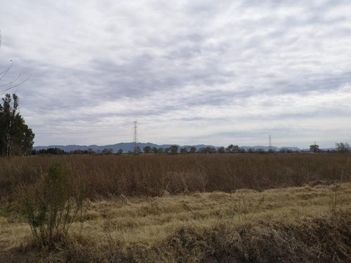 Terreno En Venta Poblado Dolores Hidalgo