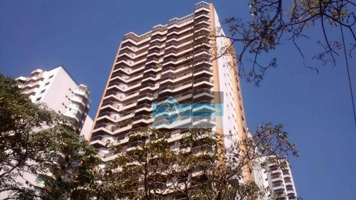 Imagem 2 de 22 de Apartamento Residencial À Venda, Tatuapé, São Paulo. - Ap0511