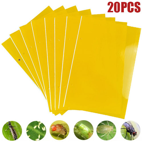 20 Trampas Amarillas Con Pegamento Entomológico, 20 X 15 Cm
