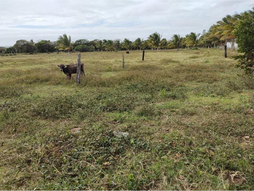 Terreno En Venta Anton Lizardo Mata De Uva