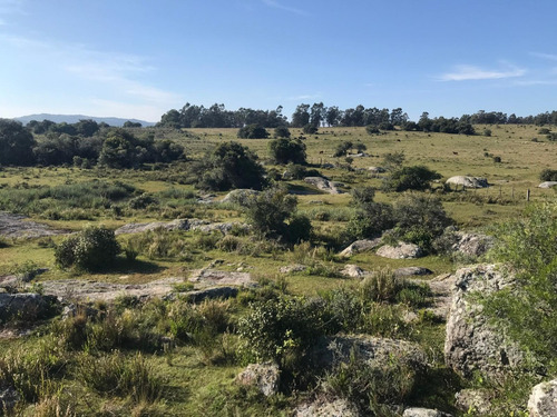 Muy Buen Campo Criador De 23.6 Has A 12 Km De Aigua, Abrigo, Agua,luz Enfrente