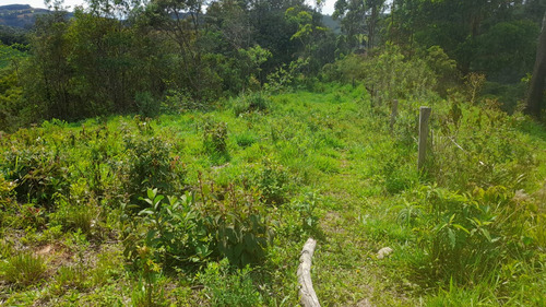 Vende-se Terreno De 26.000 M Com Nascente Dentro Da Propried