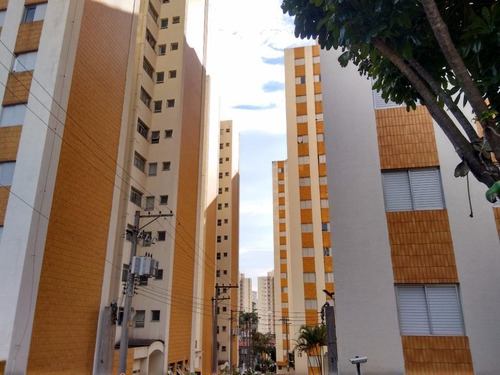 Imagem 22 de 22 de Apto. 3 Dorms (1 Suíte) - Macedo - Ap4474