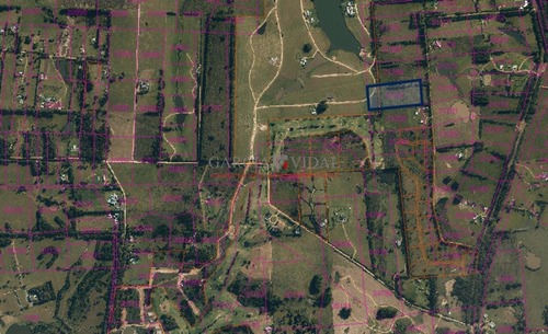 Imagen 4 de 8 de Venta De Chacra En Zona Rural De La Barra