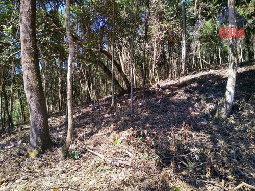 Imagem 6 de 6 de Terreno À Venda, 1365 M² Por R$ 60.000 - Mato Dentro - Mairiporã/sp - Te0308
