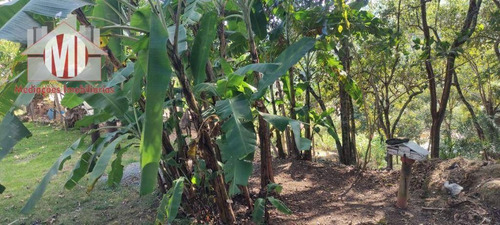 Imagem 5 de 30 de Linda Chácara Com 3 Dormitórios, Pomar, Jardim, Bem Localizada, À Venda, 3600 M² Por R$ 280.000 - Zona Rural - Pinhalzinho/sp - Ch0945