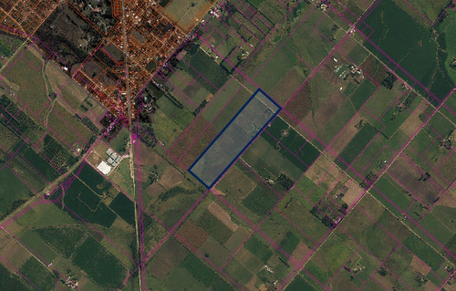 Venta Campo Agrícola-ganadero De 29 Hectáreas, Colonia