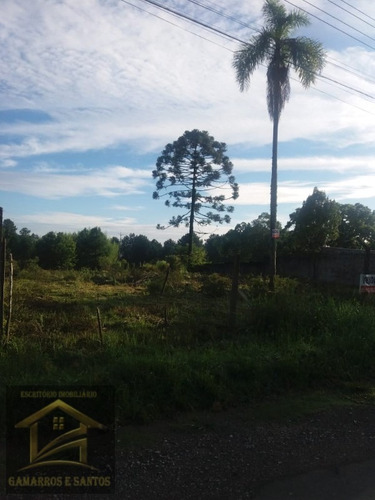 Imagem 4 de 11 de Terreno Com 2.500m² Em Quatro Barras - Te00022 - 33357972