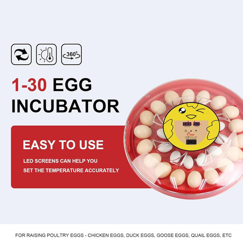 Encubadora Incubadora De Huevos Digital Automática- 30 Huevo