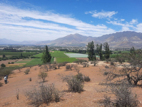 Sector Camino Las Casas De Quilpue, El Algarrobal
