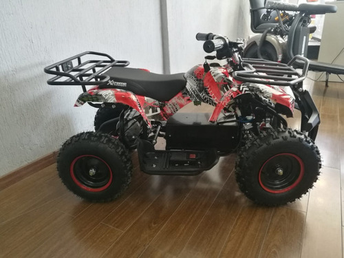 Imagen 10 de 25 de Cuatriciclo Parrillero Electrico 800w Sunra Eco Capital Atv