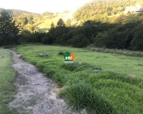 Imagem 4 de 8 de Terreno - Te00164 - 70456139