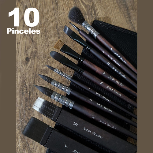 10 Pinceles Profesionales Cerdas Natural Acuarelas Acrílico