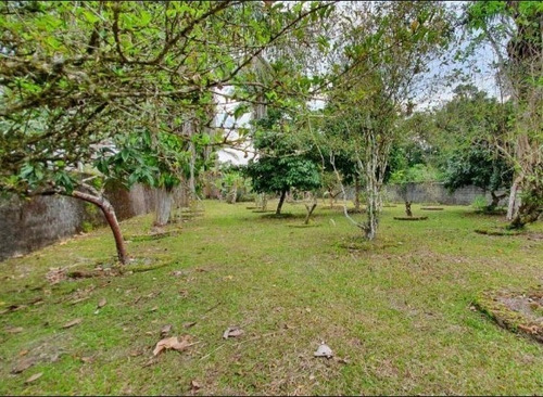 Imagem 7 de 14 de Chácara Com Pomar E Piscina Em Itanhaém Litoral Sul De Sp