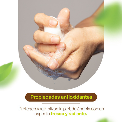 Jabón Artesanal Corporal Hidratante Coco Y Cacahuananche 120