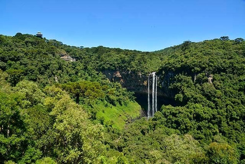Imagem 4 de 6 de Lote / Terreno Em Alpes Verdes - Canela - 20591