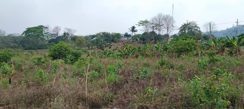 Terreno En Renta De Terreno A Pie De Carretera En Sebastopol Tuxtepec Oaxaca