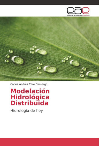 Libro: Modelación Hidrológica Distribuida: Hidrología De Hoy