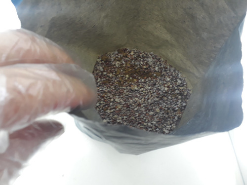 Kit P/ Produzir Cogumelo Champignon Em Casa Alimento Vegano