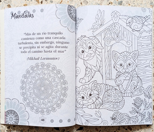 Mandalas De Flores Y Animales Relax + Caja 12 Colores