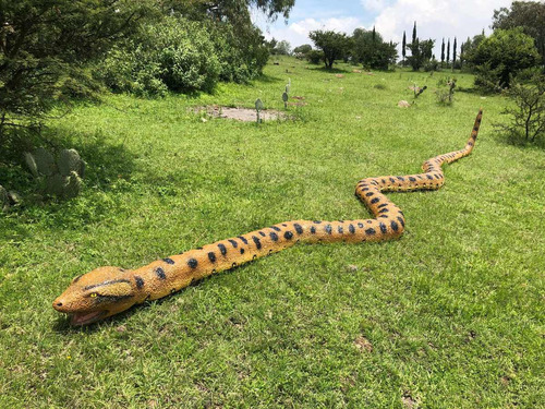 Animales Disecados 100% Artificiales VĂbora Anaconda