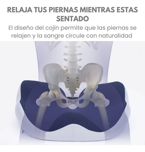 Cojín De Asiento Premium Hemorroides Ciática Coxis Cadera