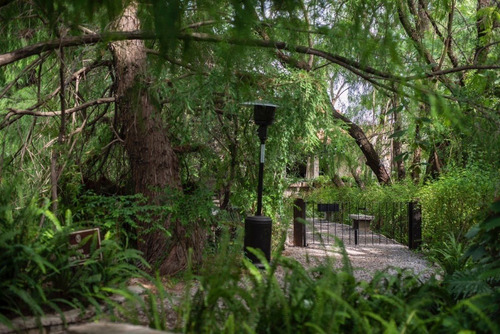 Venta De Terreno En Viñedo La Santisima Trinidad, San Miguel De Allende