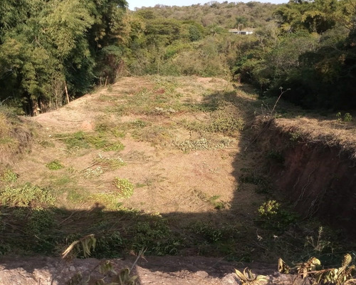 Imagem 1 de 4 de Terreno Industrial - Ti00008 - 68690611