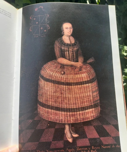 Libro Ilustrado De La Imagen Femenina En La Pintura Chilena (Usado)