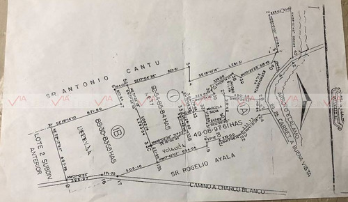 Palo Alto Vallecillo
