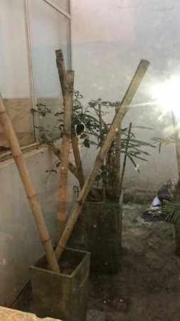 Imagen 8 de 9 de 48 E/ 12 Y 13 - 3 Ambientes Sala De Espera Patio Zona Y Baño Tribunales
