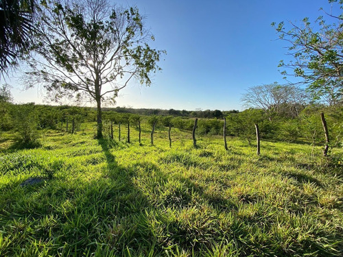 Rancho Ganadero En Tizimín, Yucatán