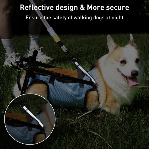 Silla De Ruedas Para Perros Pibeibuk Para Patas Traseras, Ay